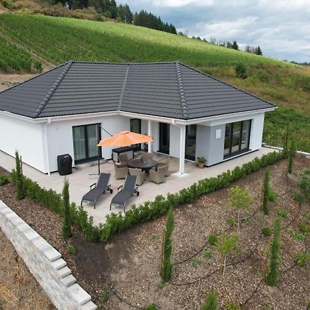 Neu - Premium-Ferienhaus Mosel-Sonne Verbandsgemeinde Verbandsgemeinde Traben-Trarbach Buitenkant foto