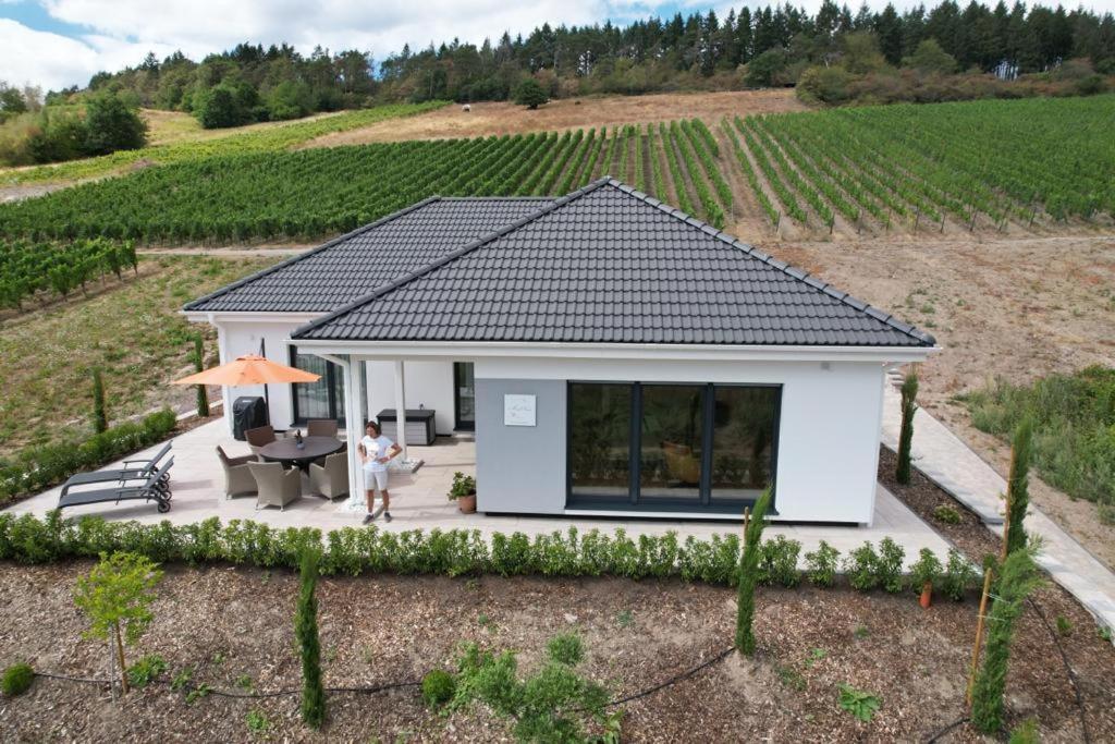 Neu - Premium-Ferienhaus Mosel-Sonne Verbandsgemeinde Verbandsgemeinde Traben-Trarbach Buitenkant foto