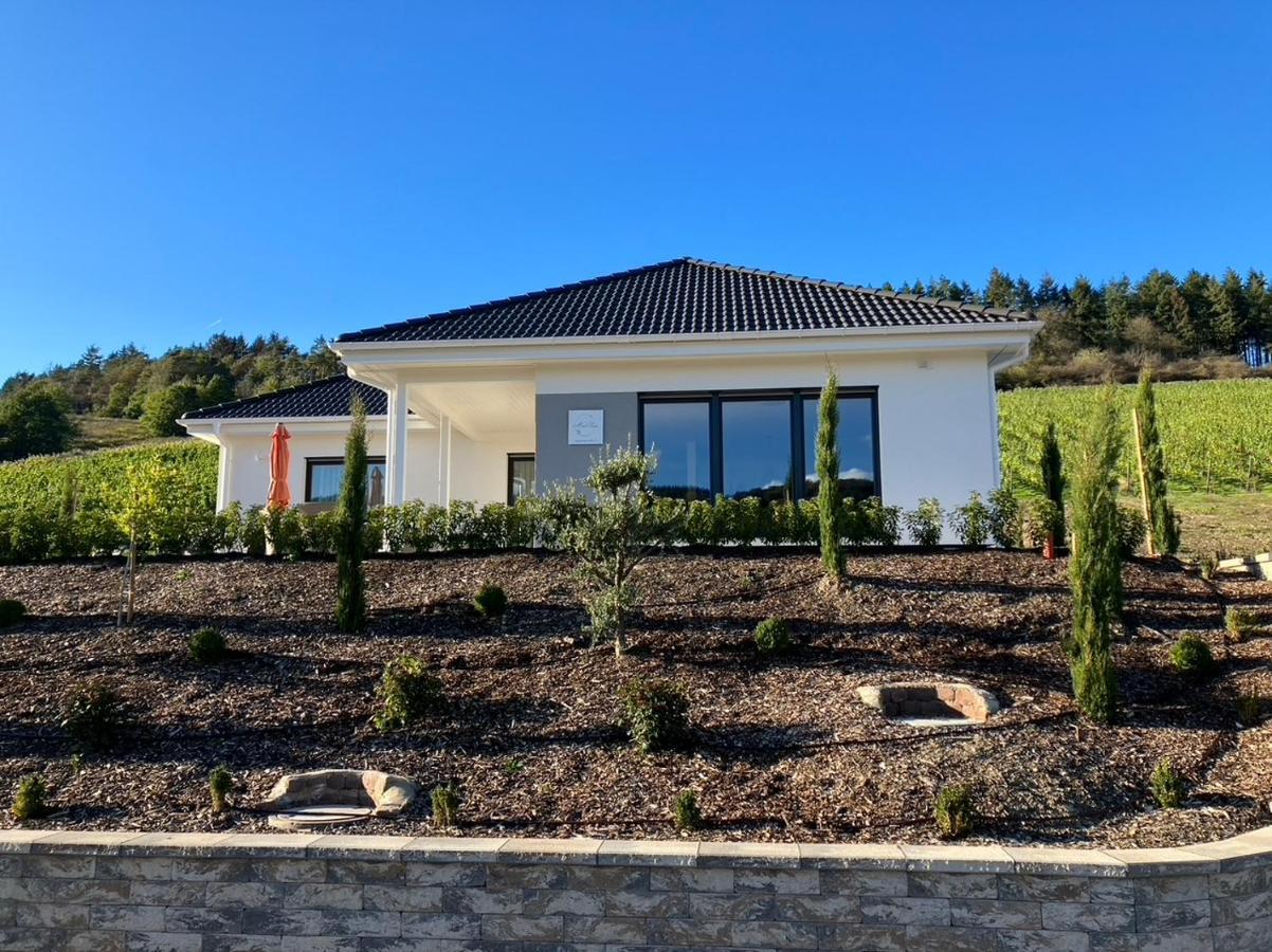 Neu - Premium-Ferienhaus Mosel-Sonne Verbandsgemeinde Verbandsgemeinde Traben-Trarbach Buitenkant foto
